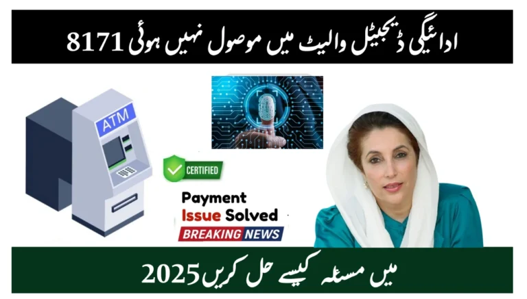 8171 Payment Not Received in Digital Wallet Easy Fixes for 2025