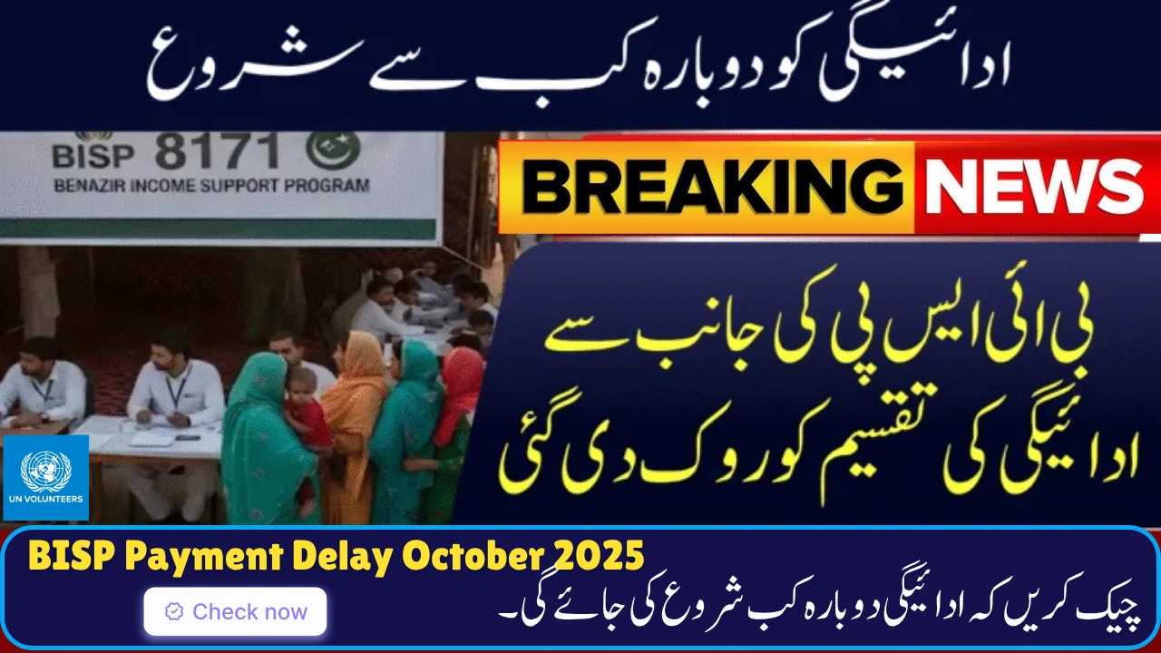 BISP Payment Delay October 2025 – Reasons, Solutions, and Official Updates