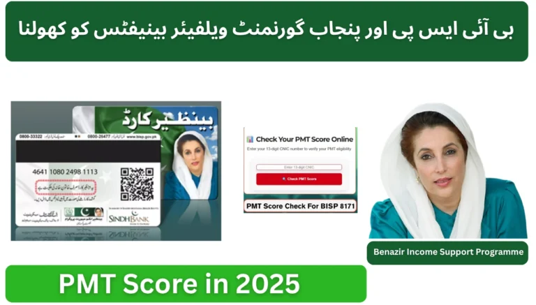PMT Score in 2025 Your Key to Unlocking BISP and Punjab Government Welfare Benefits