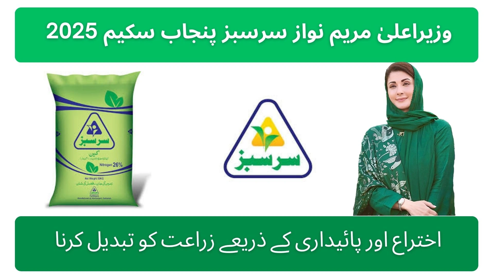 Sarsabz Punjab Scheme 2025 Transforming Agriculture Through Innovation and Sustainability